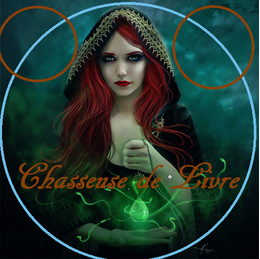 logo blog chasseuse de livres