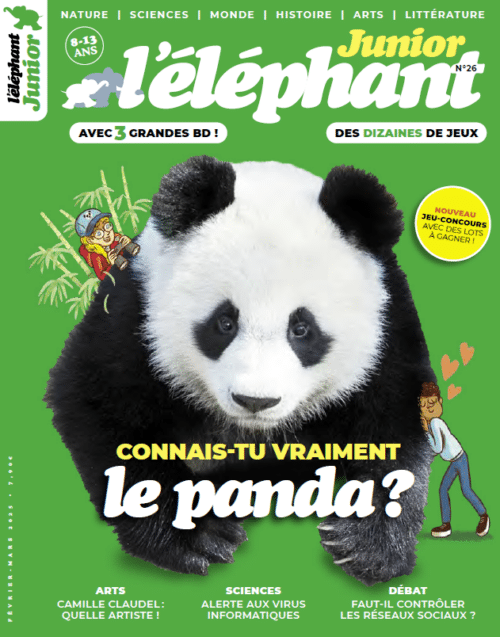 L’éléphant junior n°26